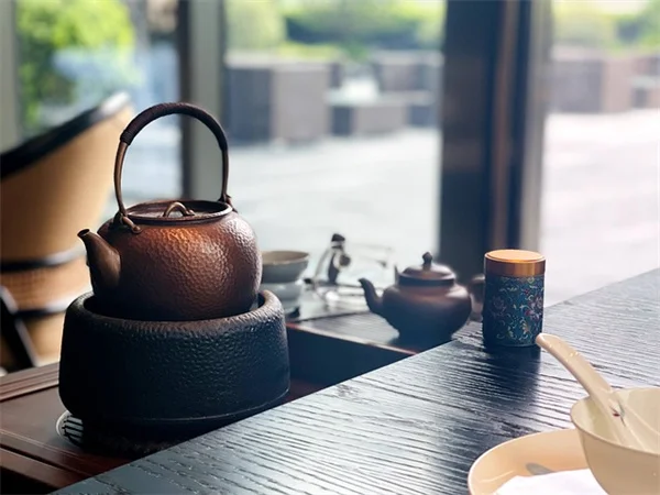 堆肥茶の作り方完全ガイド：プロが教える効果と実践テクニック