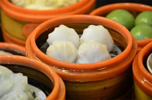 半日陰・半日向の地被植物おすすめ7選と失敗しない選び方のコツ